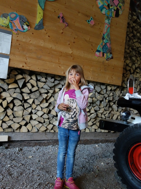 FwV_Familientag_Sihltal_140823_(166)