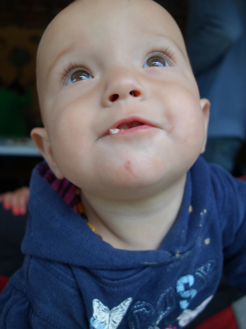 FwV_Familientag_Sihltal_140823_(198)