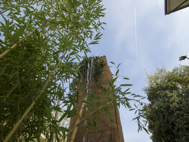 dorffest2016-9020011