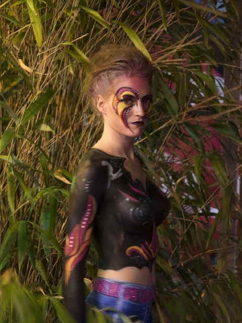 dorffest2016-9020261