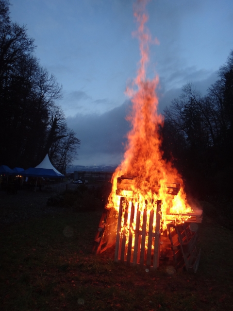 FwV_Christbaumverbrennen_2013_ (15)