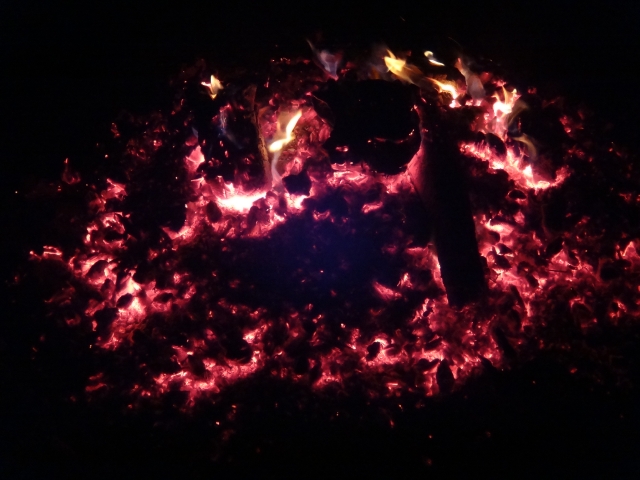 FwV_Christbaumverbrennen_2013_ (59)